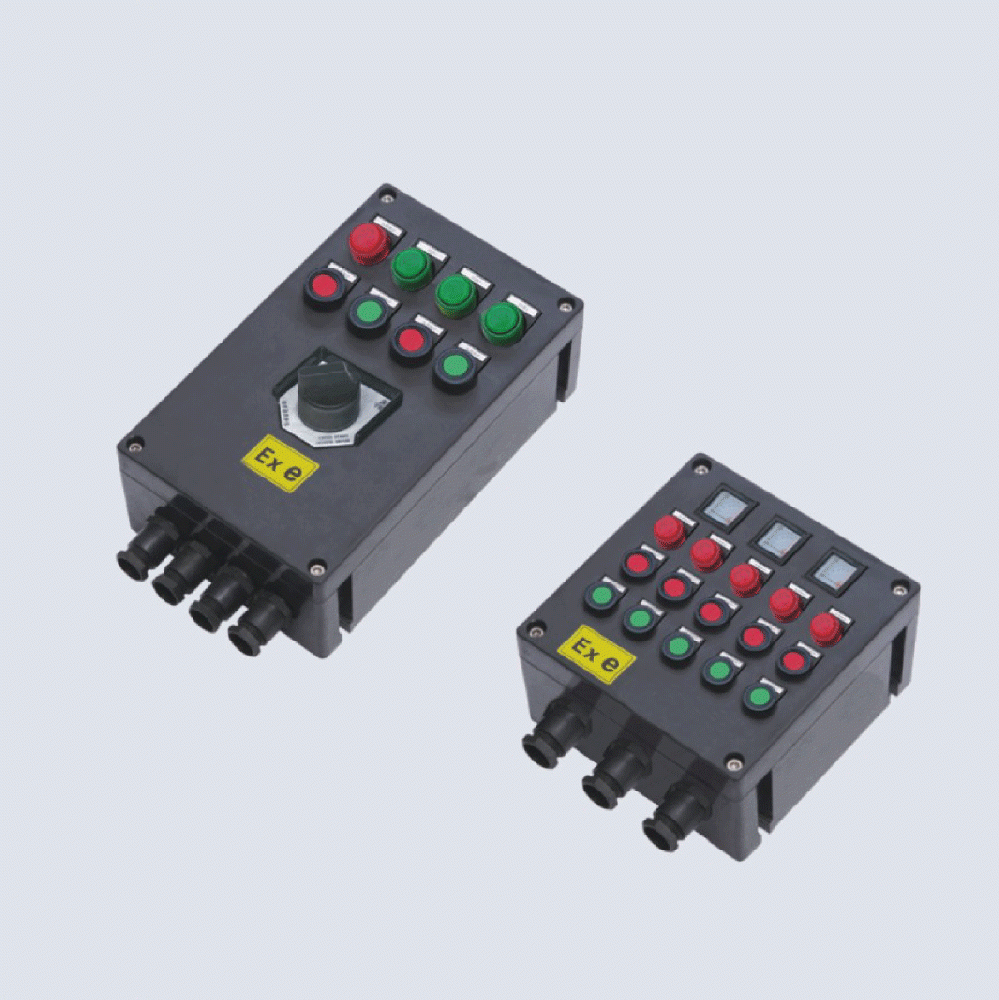 BXK8050-系列防爆防腐控制箱(IIC、 ExtD)